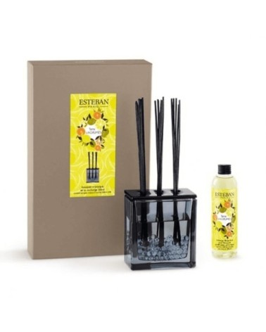 Bouquet parfumé triptyque 250ml