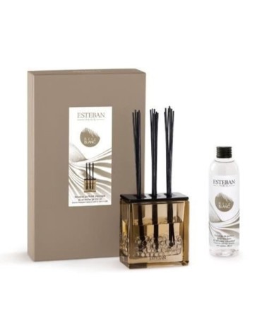 Bouquet parfumé triptyque 250ml