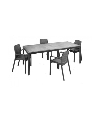 Ensemble table et chaises plastique noir