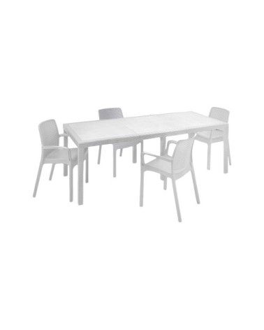 Ensemble table et chaises en plastique blanc