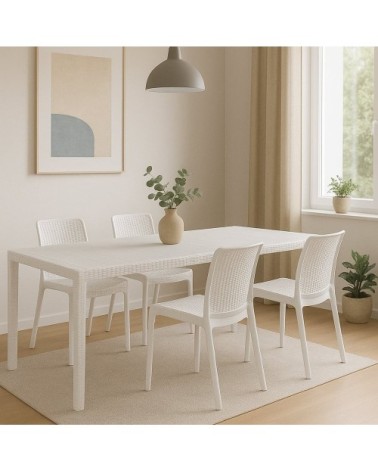 Ensemble table et chaises en plastique blanc