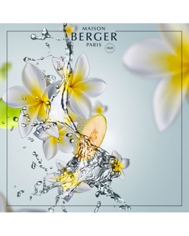 Bouquet parfumé aroma happy fraîcheur aquatique