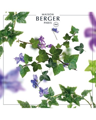 Bouquet parfumé premium Lolita Lempicka transparent