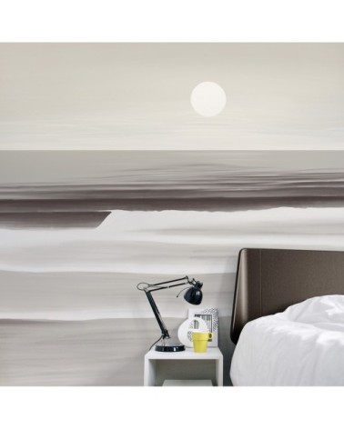 Papier peint panoramique sunset 340 x 250  gris