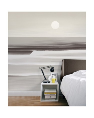 Papier peint panoramique sunset 170 x 250  gris