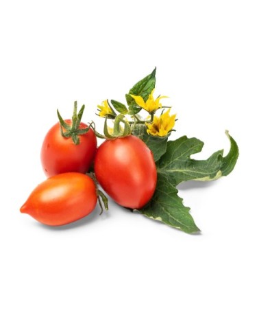 Lingot® Mini Tomate Rouge compatible potager Véritable® et Exky®
