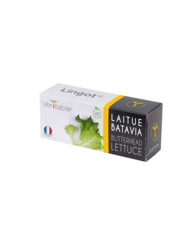 Lingot® Laitue Batavia BIO compatible potager Véritable® et Exky®