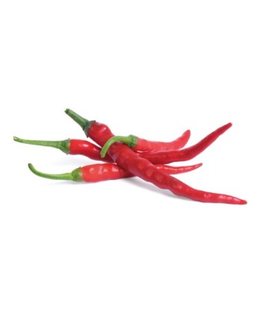 Lingot® Piment de Cayenne BIO compatible potager Véritable® et Exky®