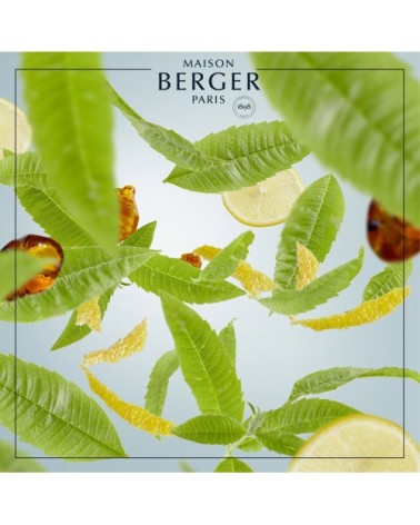 Parfum Lampe Berger Zeste de Verveine 1L