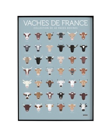 Affiche d'art vaches de France 50 X 70 cm