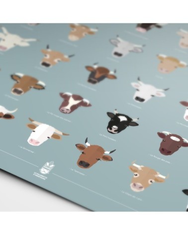 Affiche d'art vaches de France 50 X 70 cm