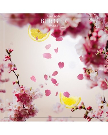 Parfum Lampe Berger Cerisier en Fleurs 500 ml