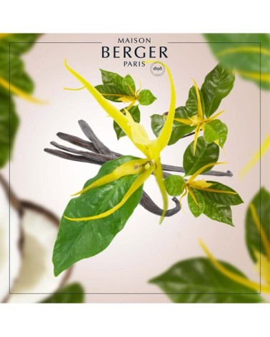 Parfum Lampe Berger Soleil d'Ylang 500 ml