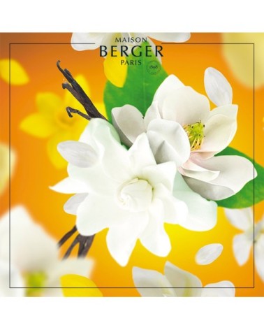 Parfum Lampe Berger Soleil Divin 500ml