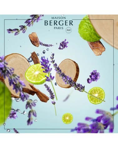 Parfum Lampe Berger Clarté Boisée 500ml