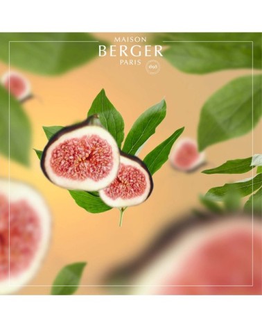 Parfum de maison sous le figuier 500ml