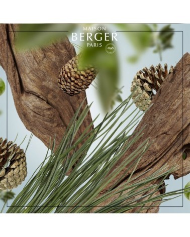 Recharge de parfum au pied du sapin 500ml