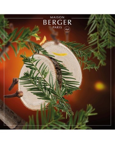 Parfum Lampe Berger Cèdre du Liban 500 ml