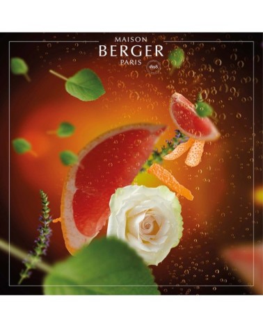 Parfum Lampe Berger Pétillance Exquise 1L