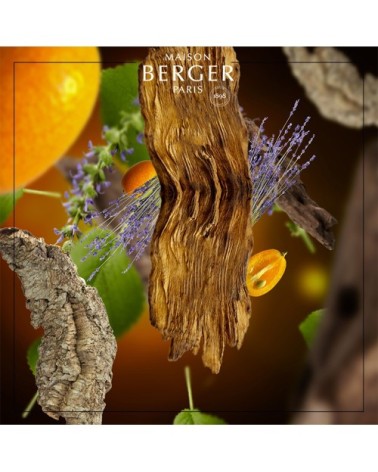 Parfum Lampe Berger Bois Sauvage 500 ml