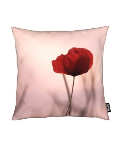 Coussin en microfibre en noir & rose 30x30