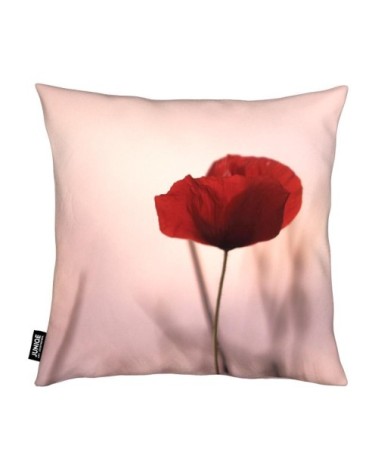 Coussin en microfibre en noir & rose 30x30