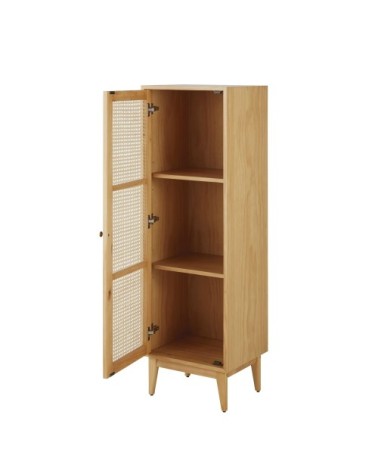 Cabinet de rangement 1 porte et rotin tressé