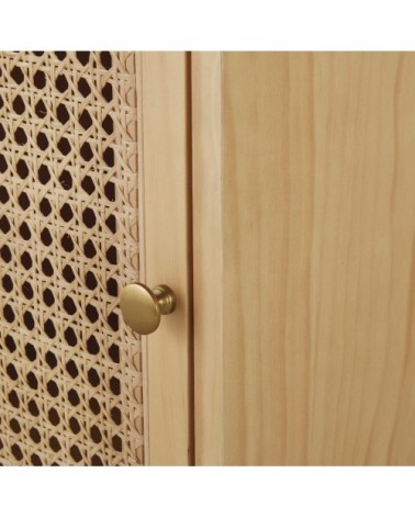 Cabinet de rangement 1 porte et rotin tressé