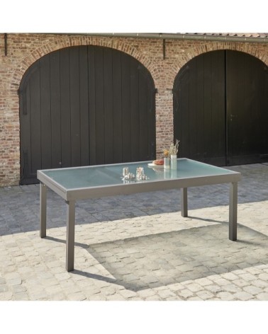Table de jardin en aluminium extensible gris 8/12 pers.
