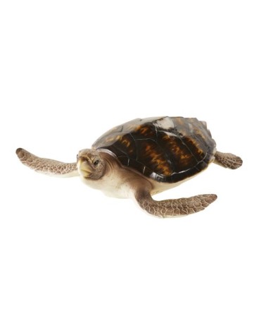 Statue tortue marron brillant et beige L47