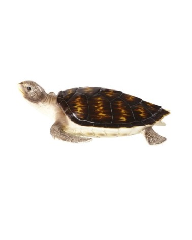 Statue tortue marron brillant et beige L47