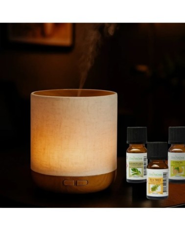 Diffuseur d'huile essentielle Alesia et 3 Huiles Spéciales Respiration