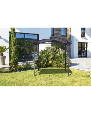 Abri de jardin en aluminium et polycarbonate gris anthracite