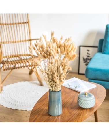 Botte de fleurs séchées lagurus ovatus naturel (env. 100 tiges)