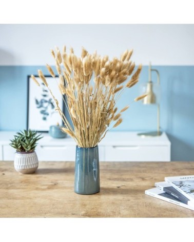 Botte de fleurs séchées lagurus ovatus naturel (env. 100 tiges)