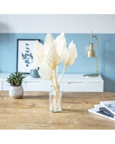 Botte de fleurs séchées palmes blanches x10