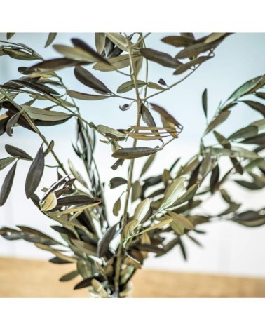 Botte de fleurs séchées olivier de Provence stabilisé