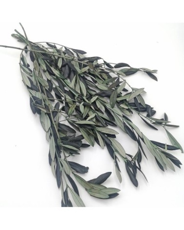 Botte de fleurs séchées olivier de Provence stabilisé