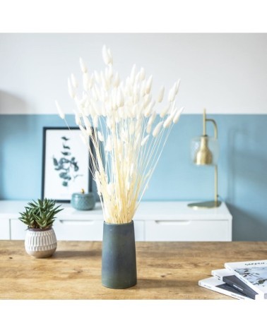 Botte de fleurs séchées lagurus ovatus blanc (env. 100 tiges)
