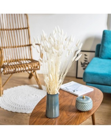 Botte de fleurs séchées lagurus ovatus blanc (env. 100 tiges)