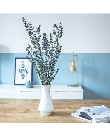 Botte de fleurs séchées eucalyptus baby stabilisé