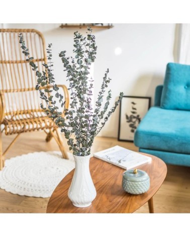 Botte de fleurs séchées eucalyptus baby stabilisé