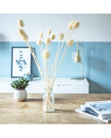 Botte de fleurs séchées chardons secs