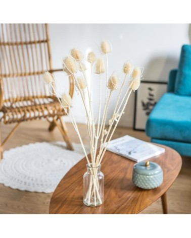 Botte de fleurs séchées chardons secs