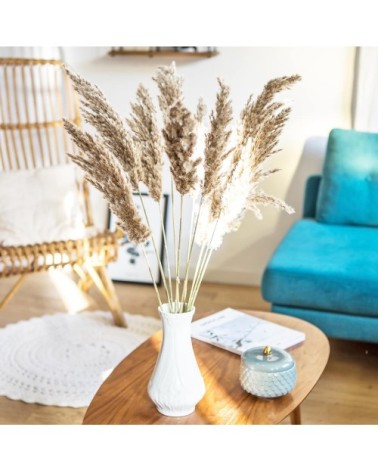 Botte de fleurs séchées plumeau de Provence x10