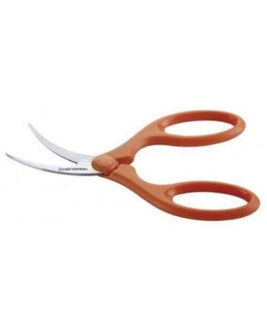 Ciseaux à crevettes
