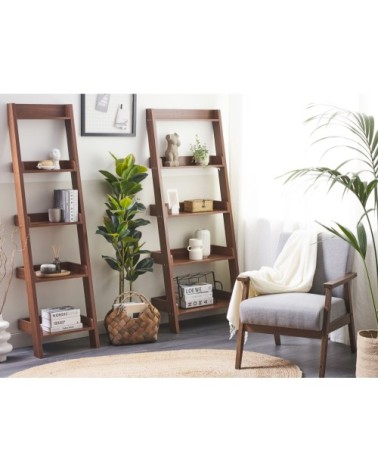 Étagères échelle en bois