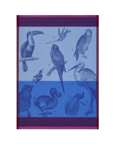 Torchon en coton azur 60 x 80