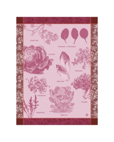 Torchon en coton chicoree 60 x 80