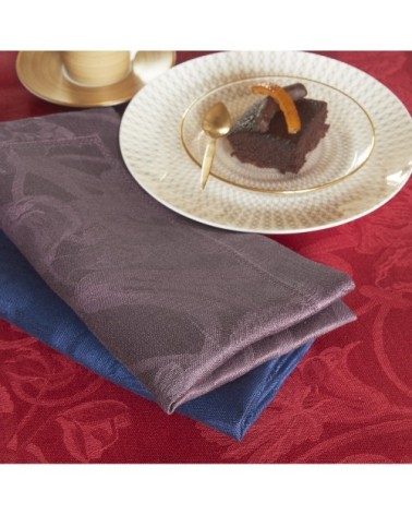 Serviette en lin velours 50 x 50